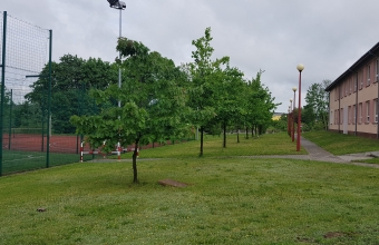 20190529_083349