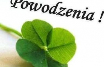 koniczyna (1)