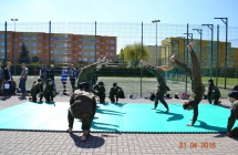 11 DSC_1298