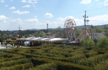 DSCF5373