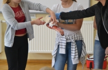 o18