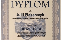dyplom_Julia.pdf
