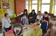 12 DSC_1361